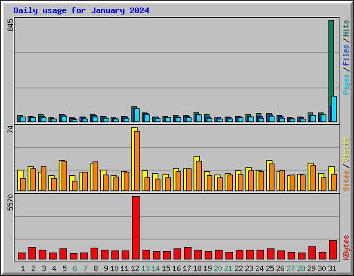 Daily usage for January 2024