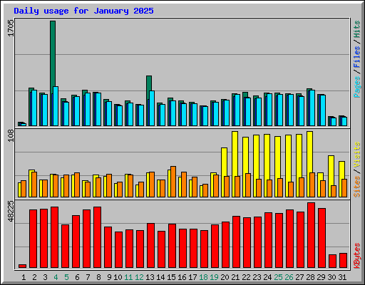 Daily usage for January 2025