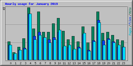 Hourly usage for January 2019