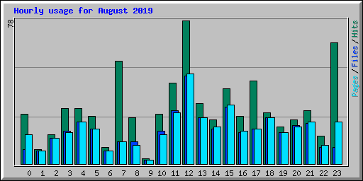 Hourly usage for August 2019