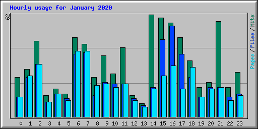 Hourly usage for January 2020