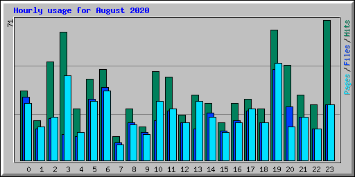 Hourly usage for August 2020