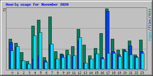 Hourly usage for November 2020