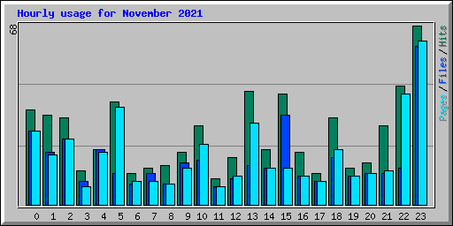 Hourly usage for November 2021