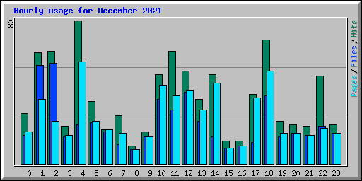 Hourly usage for December 2021