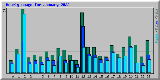 Hourly usage for January 2022