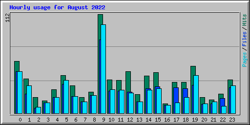 Hourly usage for August 2022
