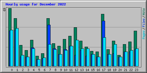 Hourly usage for December 2022