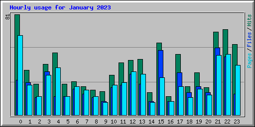 Hourly usage for January 2023