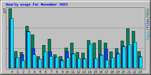 Hourly usage for November 2023