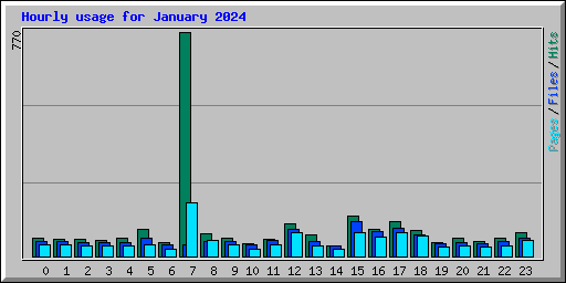 Hourly usage for January 2024