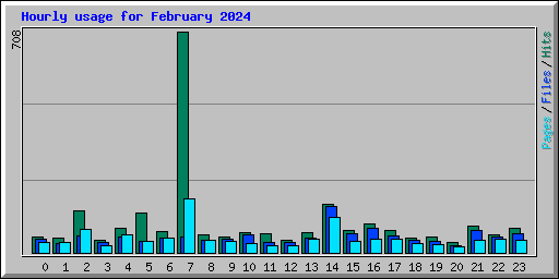 Hourly usage for February 2024
