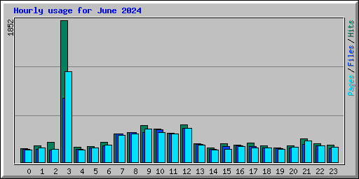 Hourly usage for June 2024