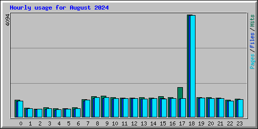 Hourly usage for August 2024