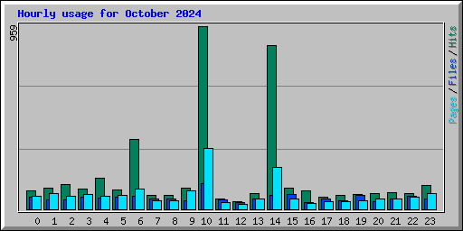 Hourly usage for October 2024