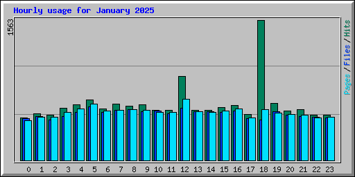 Hourly usage for January 2025