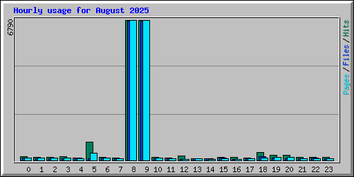 Hourly usage for August 2025