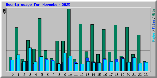 Hourly usage for November 2025