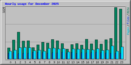 Hourly usage for December 2025