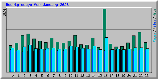 Hourly usage for January 2026
